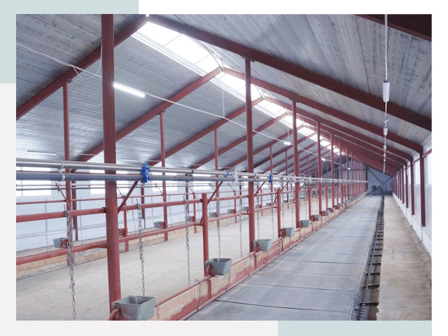 Строительство коровников в Камышине от 617 руб.