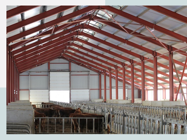 Строительство коровников в Камышине