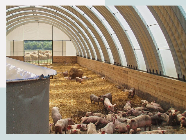 Строительство свинарников в Камышине