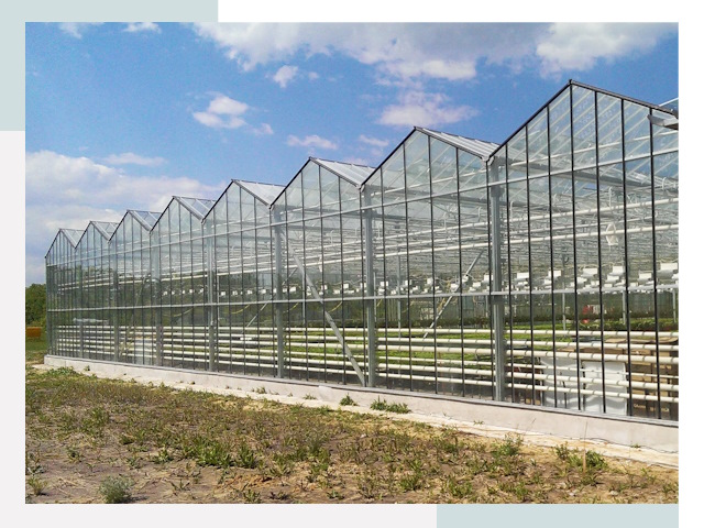 Строительство теплиц в Камышин от 617 руб. за м²