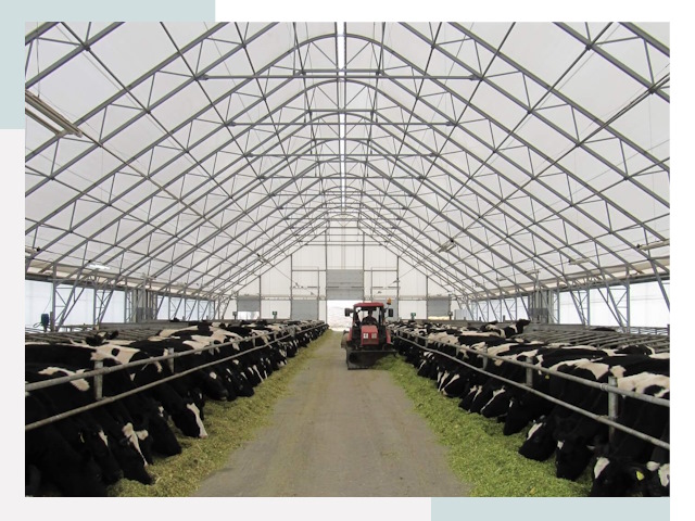 Тентовые коровники в Камышине от 617 руб. - Надежно и доступно