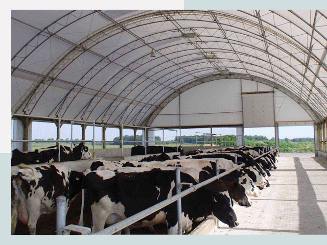 Тентовые коровники в Камышине